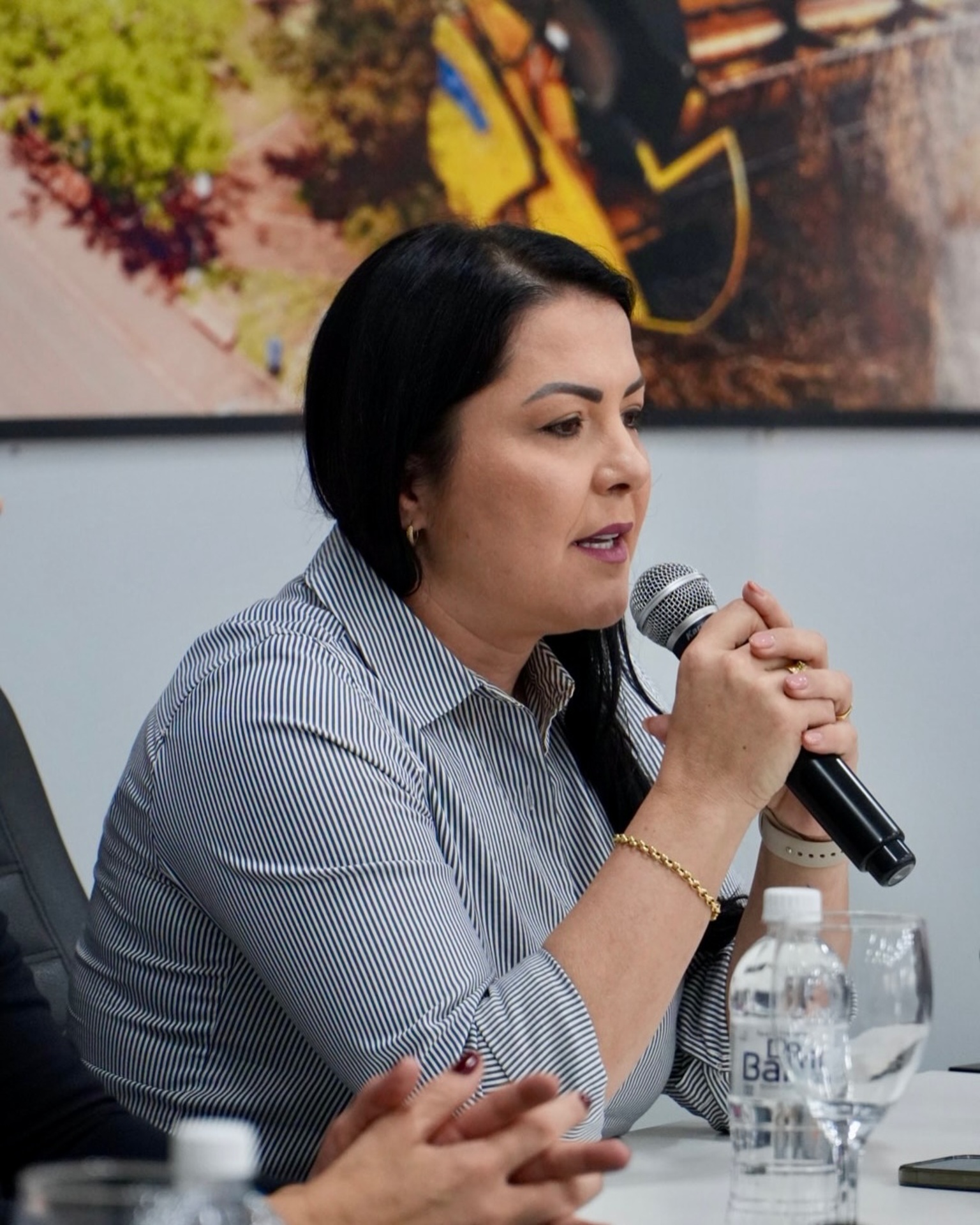 Adriane Perin, prefeita de Nonoai, encabeça a chapa