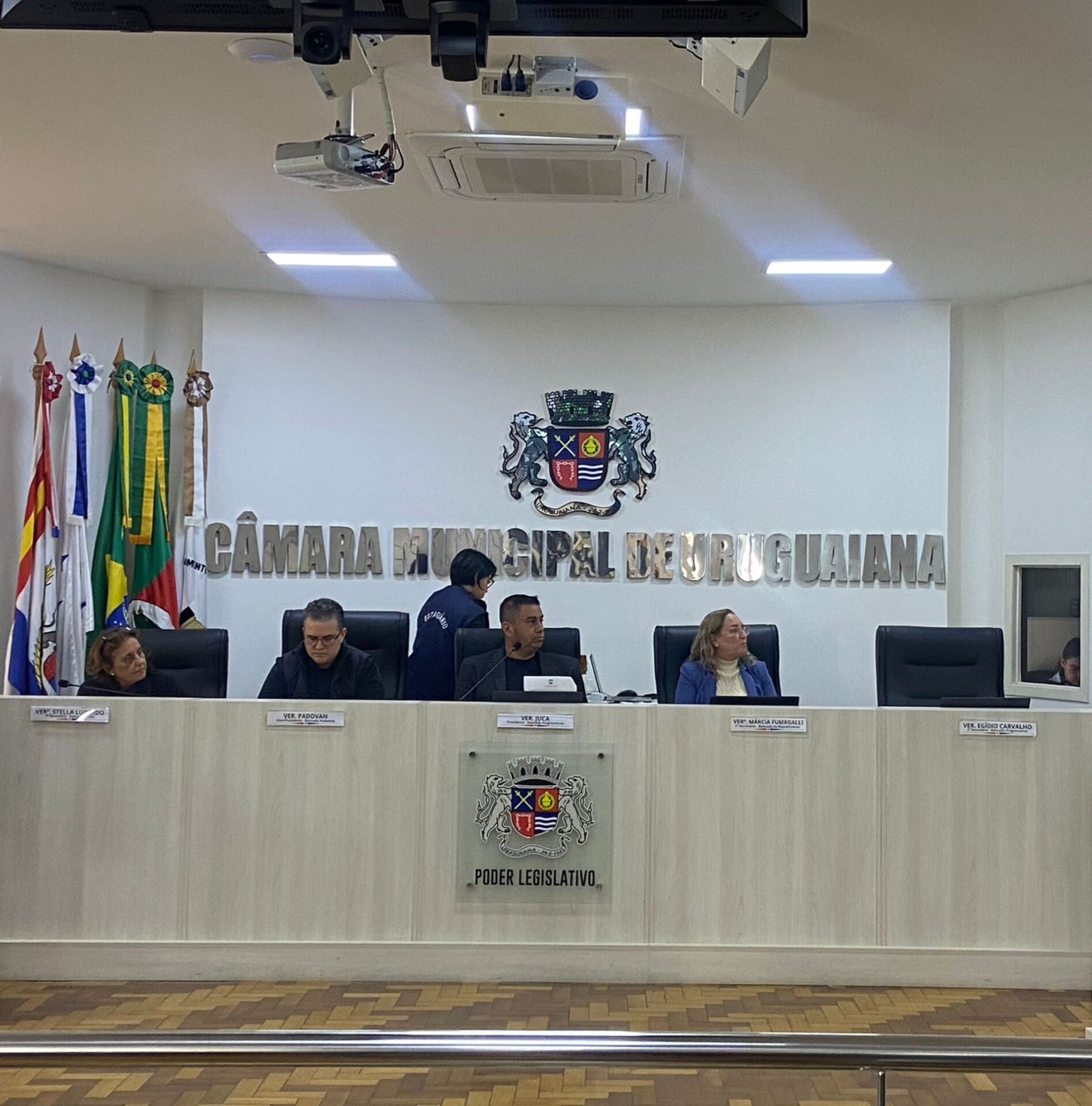 Sugestão da comissão é que a PL seja transformada em uma indicação ao executivo, que avaliará a possibilidade de aplicação