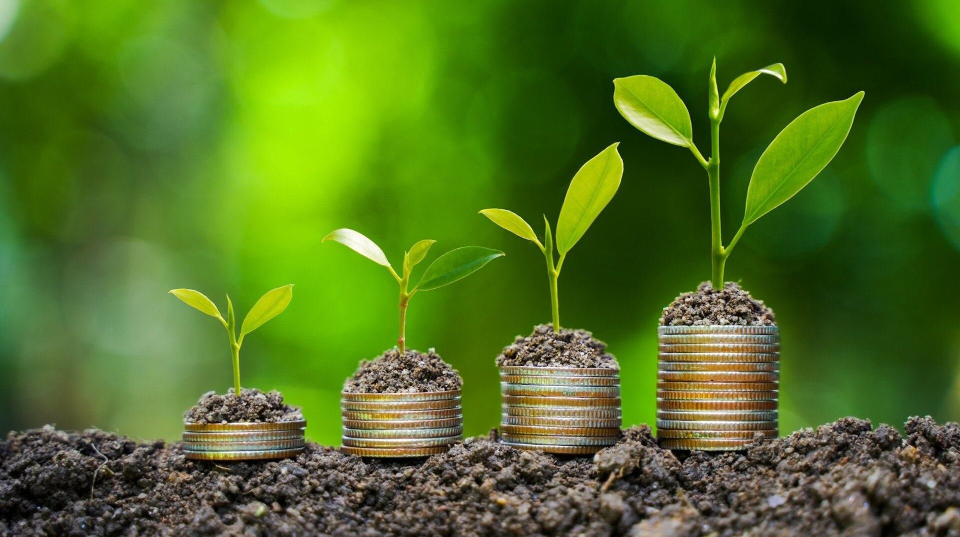 Viabilizado pela Invest RS, o acordo visa consolidar o estado como polo global de inovação na bioeconomia circular.
