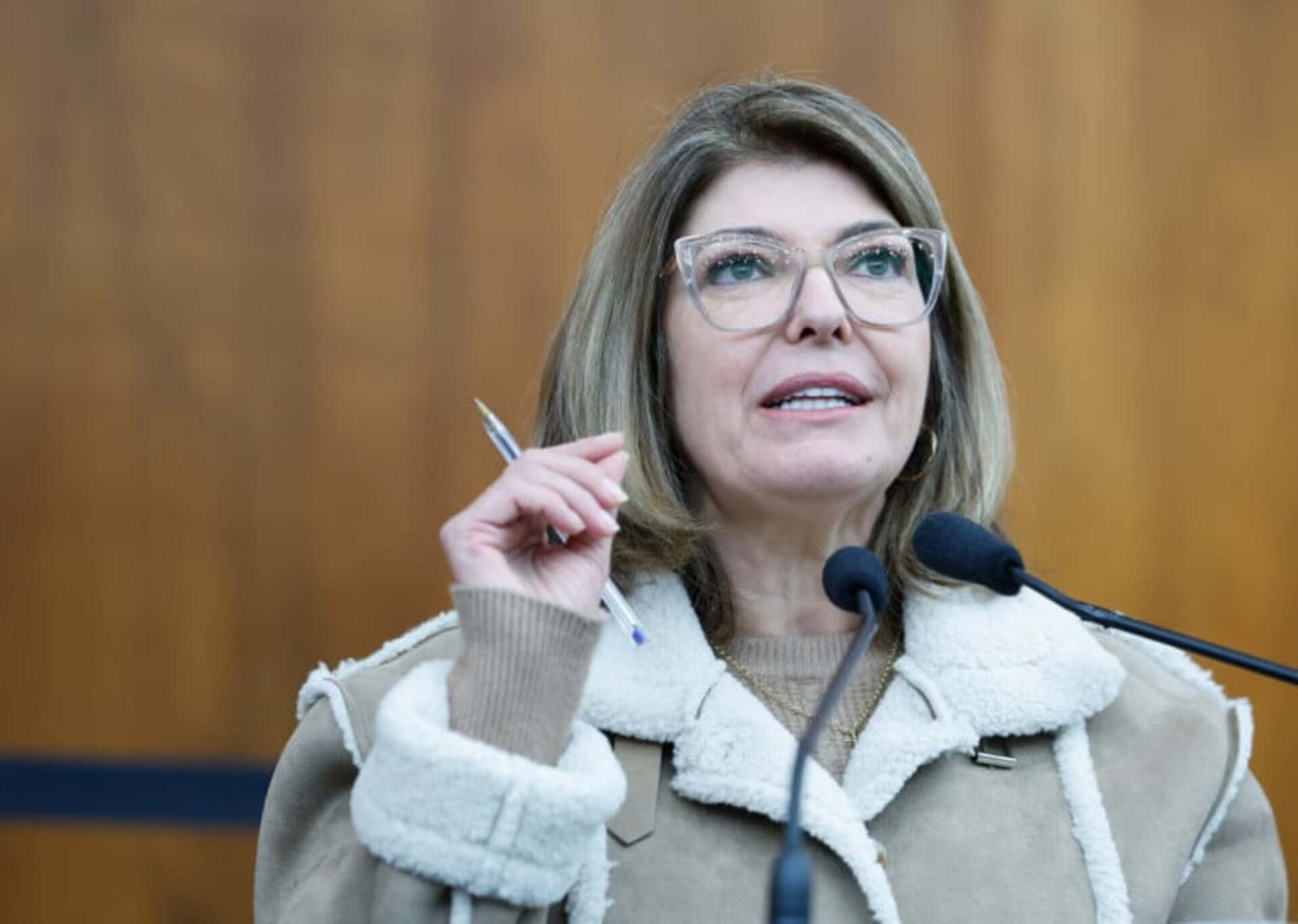 Matéria é de autoria da deputada Adriana Lara