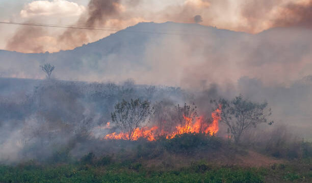 Incêndio em vegetação é controlado às margens da BR-472